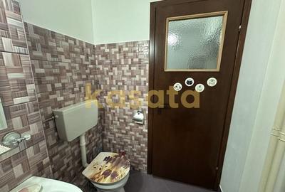 Garsonieră De Vanzare | Brâncuși | Renovată | Acces facil - 10