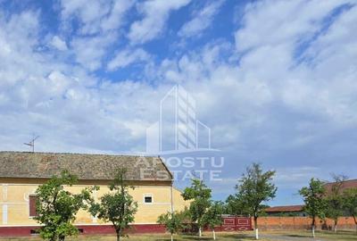 Casă cu 6 camere cu Canalizare în Șandra - 3