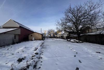 Teren vanzare Mehala Drum Principal - 3