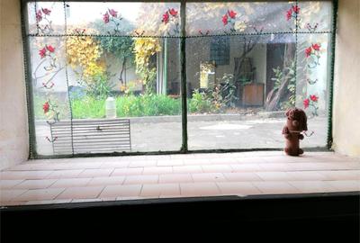 Casă cu 3 camere cu Canalizare în Griviței - 5