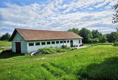 Casă cu 2 camere în Brad - 2