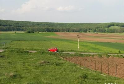 Casă cu 6 camere cu Teren 5000 Mp în Baldovinești - 8