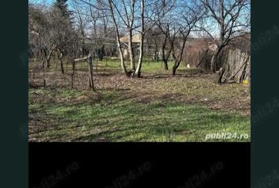 Casă cu Teren 2650 Mp în Boldești - 8