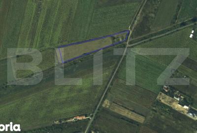 Teren de 5000 mp, în Central - 1