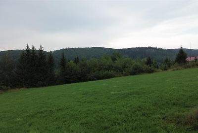 Teren 5023 mp  In Bucovina Zona Manastirea Voronet De Vanzare 0727817187 - 5