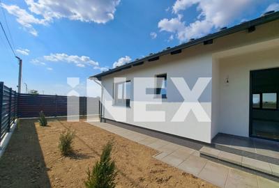 Case 4 camere TiP PARTER Bradu | 400 mp teren - 9