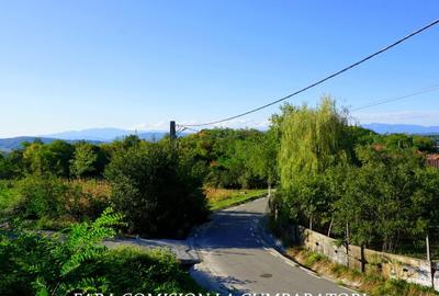 BUDESTI, TEREN 1000 MP, PRIVELISTE MINUNATA - 4