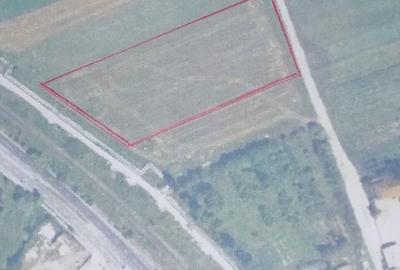 Teren de 10000 mp, în Central