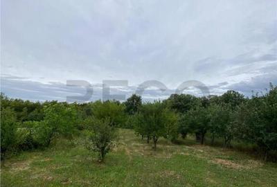 RECO Casa cu teren in Hidiselul de Sus - 2