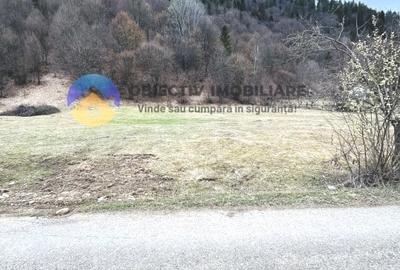 TEREN zona de munte TARCAU - 4