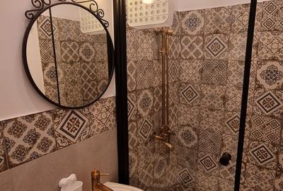 Apartament cu 1 Cameră de Vânzare în Timișoara – Balcescu - 4