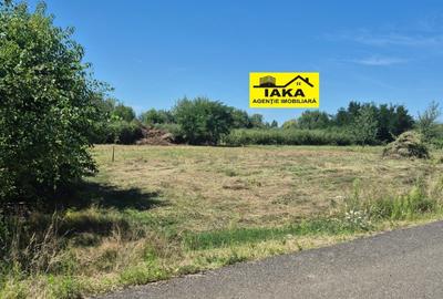 Merisor, 30 ari teren parcelabil