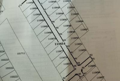 Teren de 405 mp, în Exterior Vest - 7