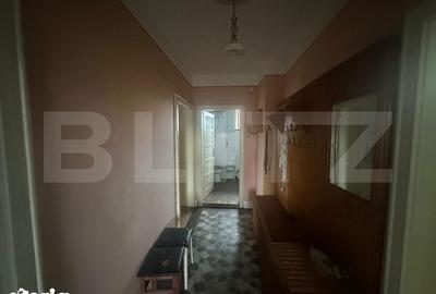 Casă cu 4 camere cu Teren 6197 Mp în Micula - 11