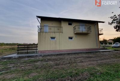 Casa cu 5 camere, 236 mp, teren 5805 mp, gaz, Brestea - Denta - 18