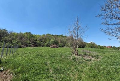 Spațiu comercial, în Curteni - 4