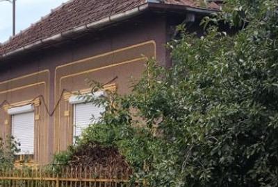 Casa de vanzare in Domanesti - 3