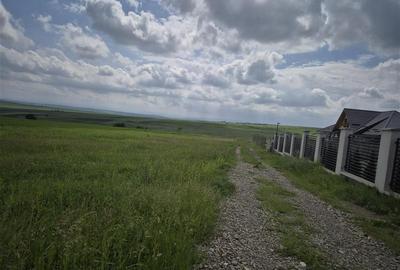 Teren agricol extravilan de 800 mp, în Moara Nica - 3