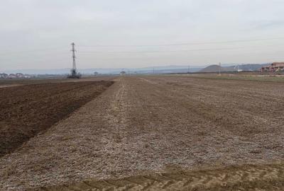 Teren de 4800 mp, în Mărăcineni - 1