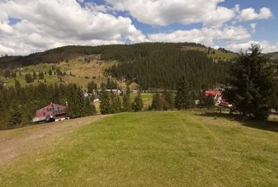 Teren Construcții intravilan de 12500 mp, în Galbena - 14