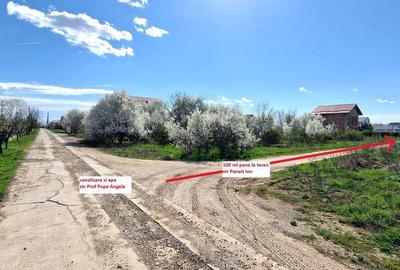 Teren de 1260 mp, în Snagov - 7