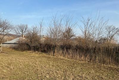 Teren Construcții intravilan de 5000 mp, în Sirețel - 12