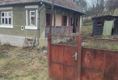 Casă cu 2 camere în Diviciorii Mari - 4