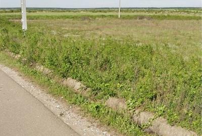 Teren de 850 mp, în Exterior Vest - 3