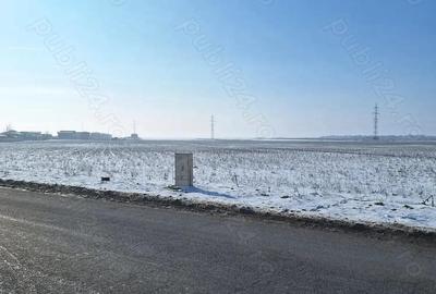 Teren de 520 mp, în Berceni - 5