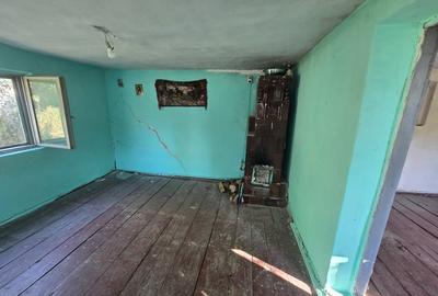 Teren 685 mp + Casa batraneasca, Ștefanesti - Golesti - 9