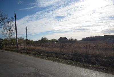 Teghes-Caragea Voda - 16