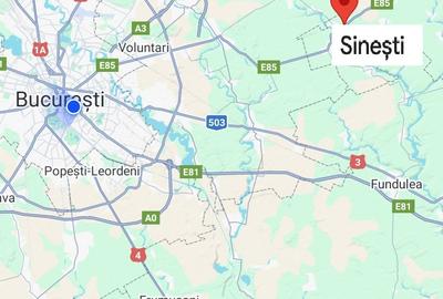 Proprietate specială, de 30 mp, în Sinești - 9