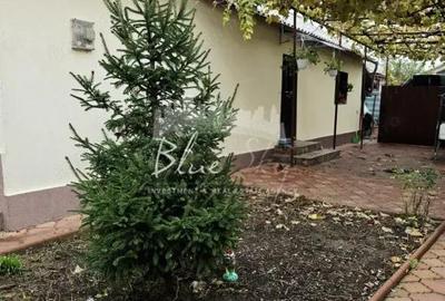 Casa 3 camere situata in Valul lui Traian - 6