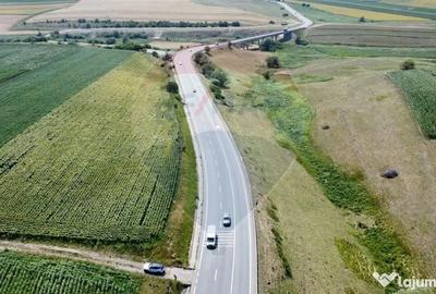 Teren de 3500 mp, în Ilișești - 6