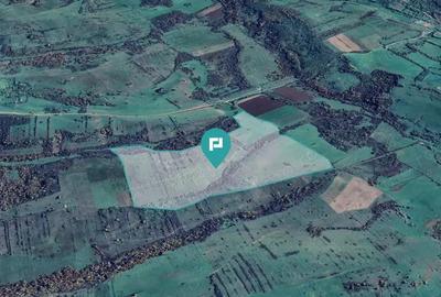 Teren arabil de 87 hectare in Bara, Timi? - 7