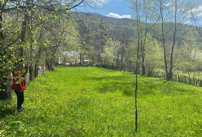 Teren de 1220 mp, în Teșila - 5