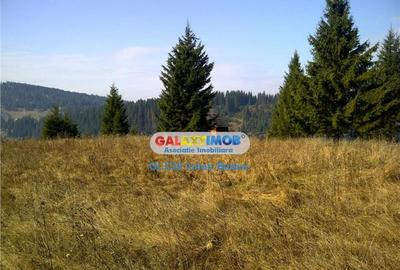 Teren pentru Complex Turistic - 12 730 mp - Vatra Dornei - 8