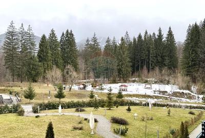 Apartament cu 2 camere semidecomandat, mobilat în Poiana Brașov - 12