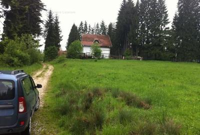 Teren intravilan Cotul Donului,pretabil Hotel/pensiune. - 18