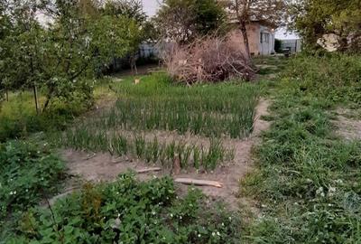 Casă cu 3 camere cu Teren 1550 Mp în Berceni - 9