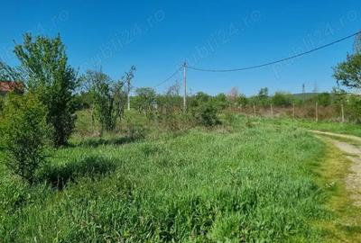 Teren în Glâmbocu - 14
