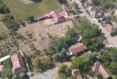 Teren pentru casa in Siria pe Soseaua spre Cetate - 4