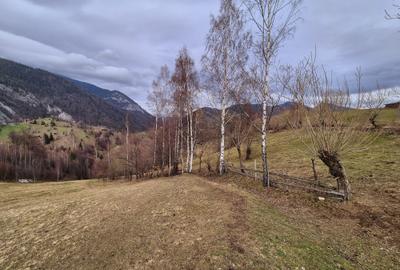 Teren investitie Pestera/ 13570mp extravilan/Comision 0 % - 6