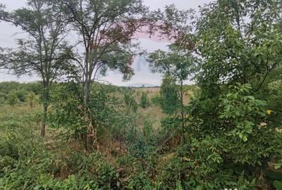 Teren de 2341 mp, în Uileacu de Munte - 2