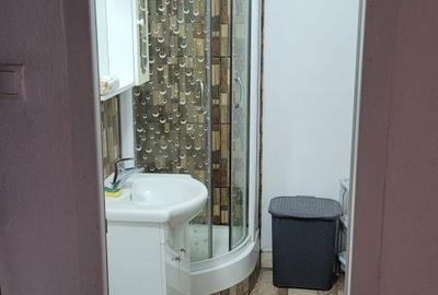 Apartament cu 3 camere decomandat în Tineretului - 5