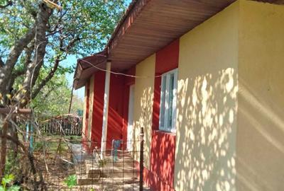 Casă cu 3 camere în Prisăcani - 2