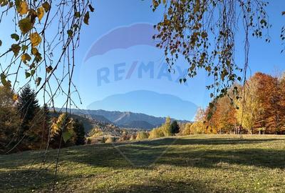 Oportunitate de investitie ! Teren de vis in Pestera - ... - 11