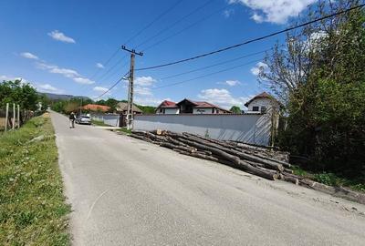 Teren 1712mp de vanzare in Horezu, Turcinesti, langa Pensiunea Arianna - 4
