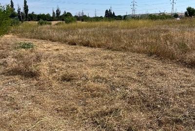 Teren Construcții intravilan de 572 mp, în Dudovicești - 6