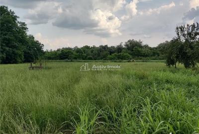 Gataia Teren Drept 1414 Mp Lot de Casa, 7 Euro Mp - 7